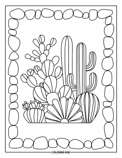 Coloriage de désert pour adultes : Des cactus de toutes formes et tailles encadrés par des galets du désert éparpillés