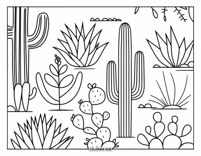 Coloriage de désert pour enfants : Des plantes du désert étiquetées comme le cactus et l'aloès poussent dans un jardin bien ordonné