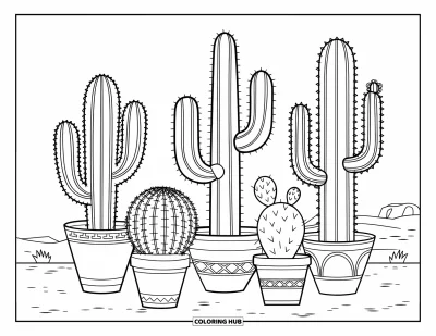 Coloriage de désert pour enfants : Des cactus en pot originaux sont posés sur le sol sableux d'une exposition désertique