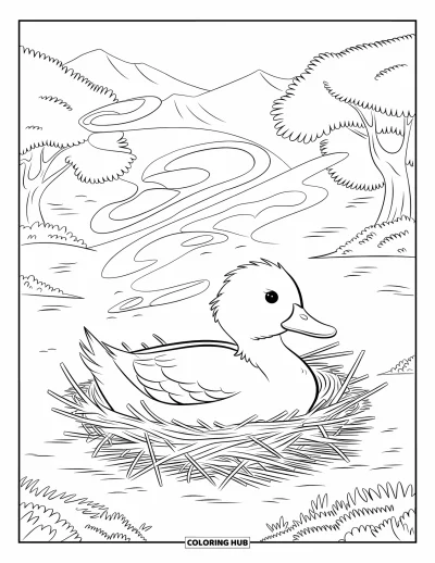 Coloriage de canards pour adultes : Un canard est assis sur des œufs dans un nid de brindilles avec des motifs de vent tourbillonnants à proximité