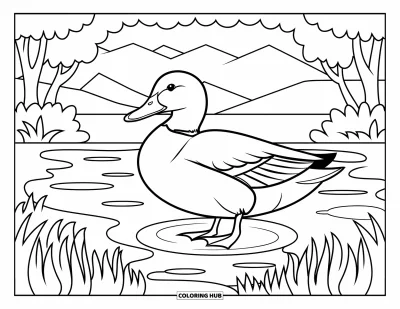 Coloriage de canards pour adultes : Un canard se tient dans un étang tranquille, entouré d'arbres, d'herbe et de douces ondulations