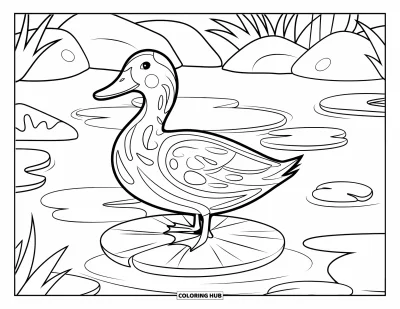 Coloriage de canards pour adultes : Un canard se tient sur un nénuphar avec des motifs d'eau et des plantes d'étang autour de lui