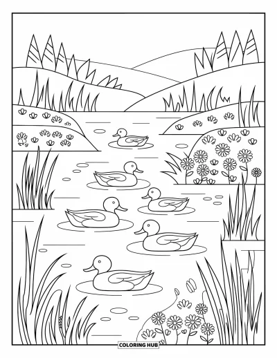 Coloriage de canards pour adultes : Des canards flottent doucement sur une eau printanière, entourés de fleurs et de roseaux