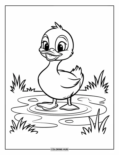 Coloriage de canards pour enfants : Un canard dodu se tient dans une flaque avec des ondulations, sans autre élément autour
