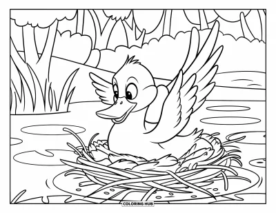 Coloriage de canards pour enfants : Un canard construit un nid de brindilles et de plumes sur un nénuphar