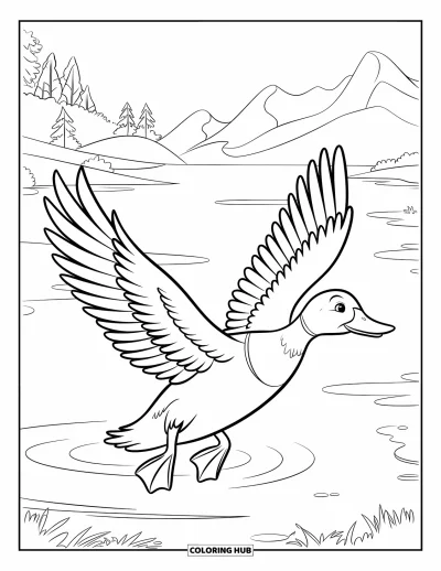 Coloriage de canards pour enfants : Un canard vole bas au-dessus d'un lac, ailes déployées, avec de beaux reflets