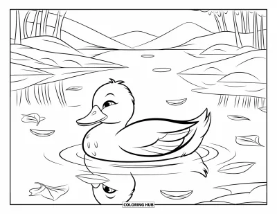 Coloriage de canards pour enfants : Un canard glisse doucement sur une eau calme, entouré de feuilles flottantes et de reflets
