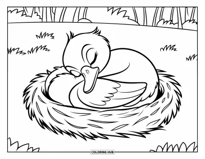 Coloriage de canards pour enfants : Un canard fait la sieste dans un nid devant un décor d'arbres
