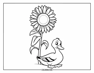 Coloriage de canards pour enfants : Un canard se détend tranquillement sous un grand tournesol sur fond blanc