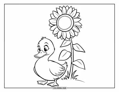 Coloriage de canards pour enfants : Un canard se repose calmement sous un grand tournesol dans un champ tranquille