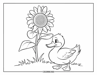 Coloriage de canards pour enfants : Un canard est assis paisiblement sous un tournesol dans un champ herbeux ensoleillé