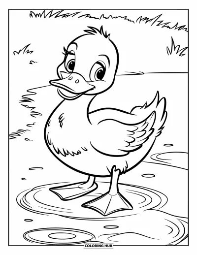 Coloriage de canards pour enfants : Un canard aux pattes vives éclabousse une flaque sur l'herbe