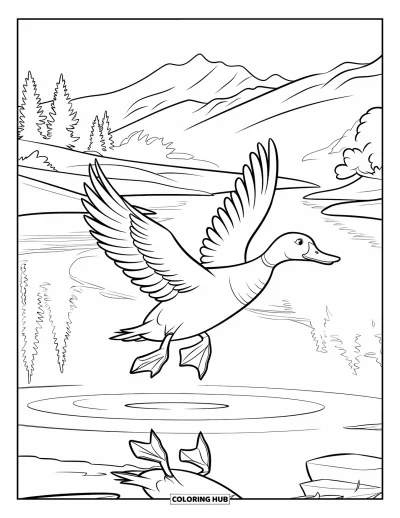 Coloriage de canards pour enfants : Un canard aux ailes déployées vole au-dessus d'un lac entouré de montagnes et d'arbres
