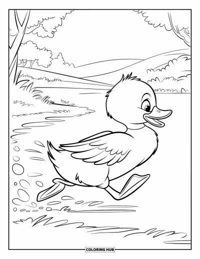 Coloriage de canards pour enfants : Un caneton court vite vers un étang lointain, les plumes volant derrière lui
