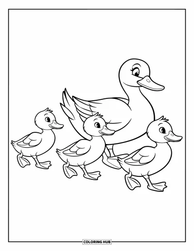 Coloriage de canards pour enfants : Une maman cane et ses canetons marchent en file sur un chemin simple et calme