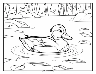 Coloriage de canards pour enfants : Un canard tranquille flotte sur un étang immobile avec des feuilles qui dérivent à proximité