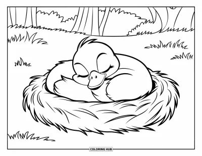 Coloriage de canards pour enfants : Un canard endormi se blottit dans un nid rond au milieu d'un champ herbeux