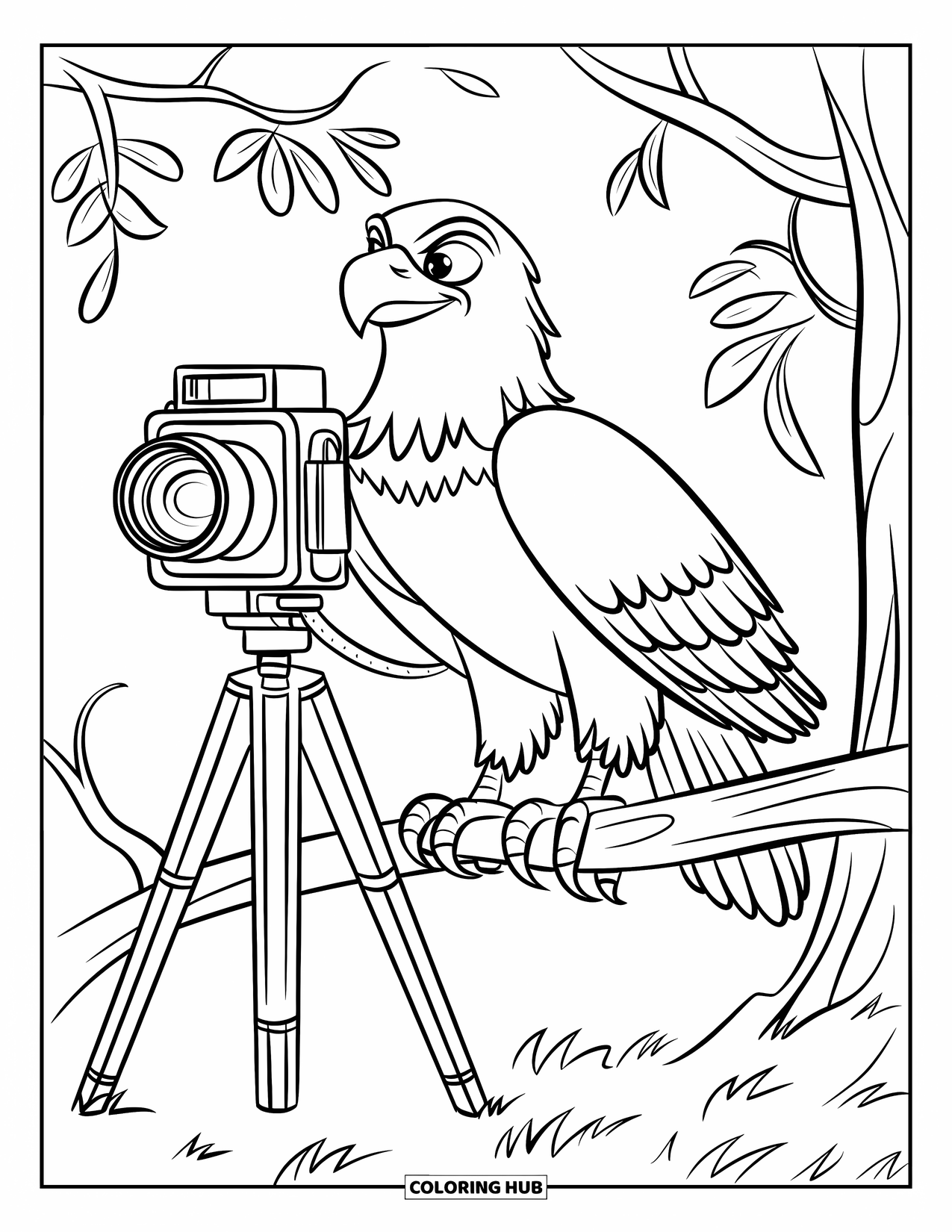 Coloriage d'aigle pour enfants : Un aigle sur une branche d'arbre prend des photos avec un appareil photo sur trépied et une sangle en cuir