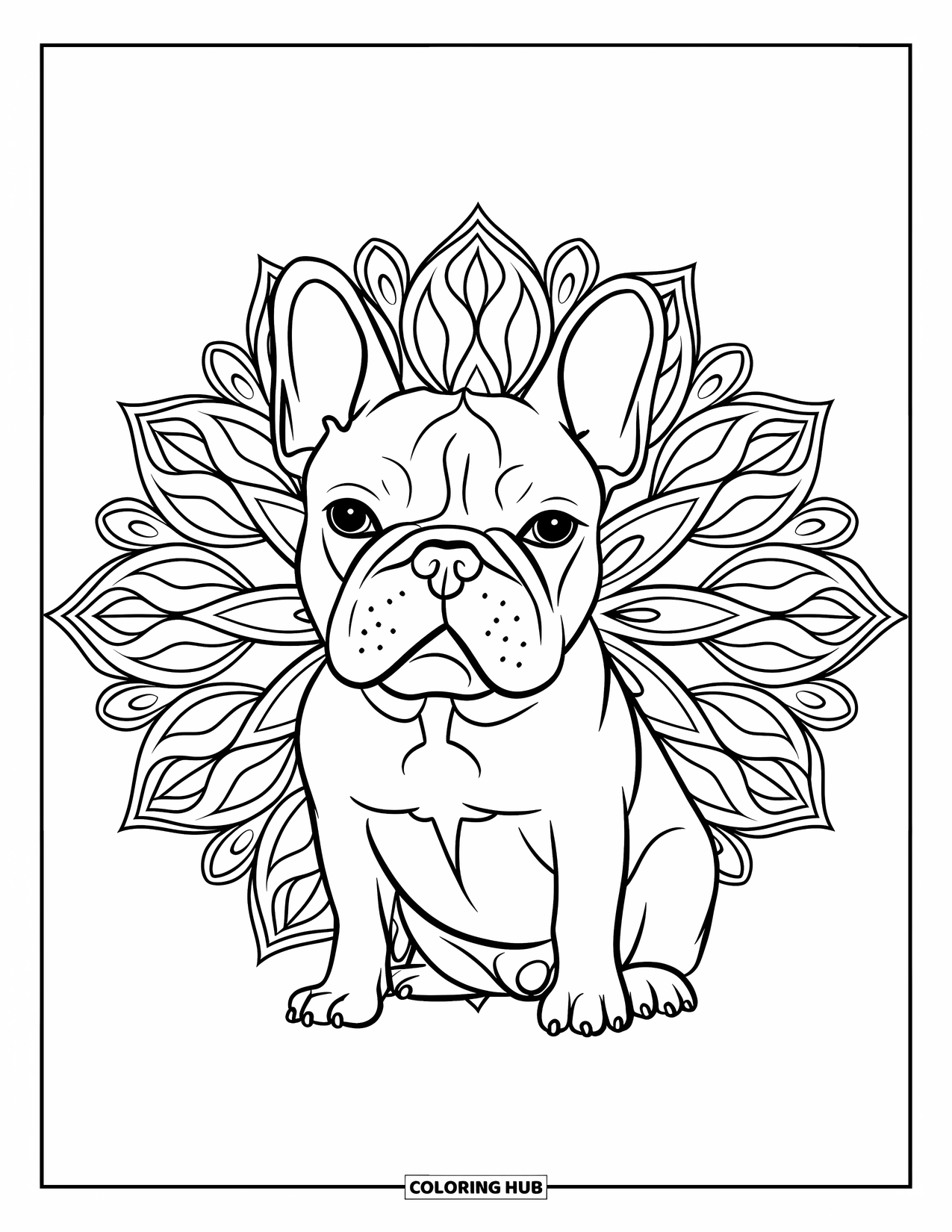 Dibujo de Bulldog Francés para adultos: Un Frenchie se sienta pacíficamente con un mandala floral floreciendo detrás