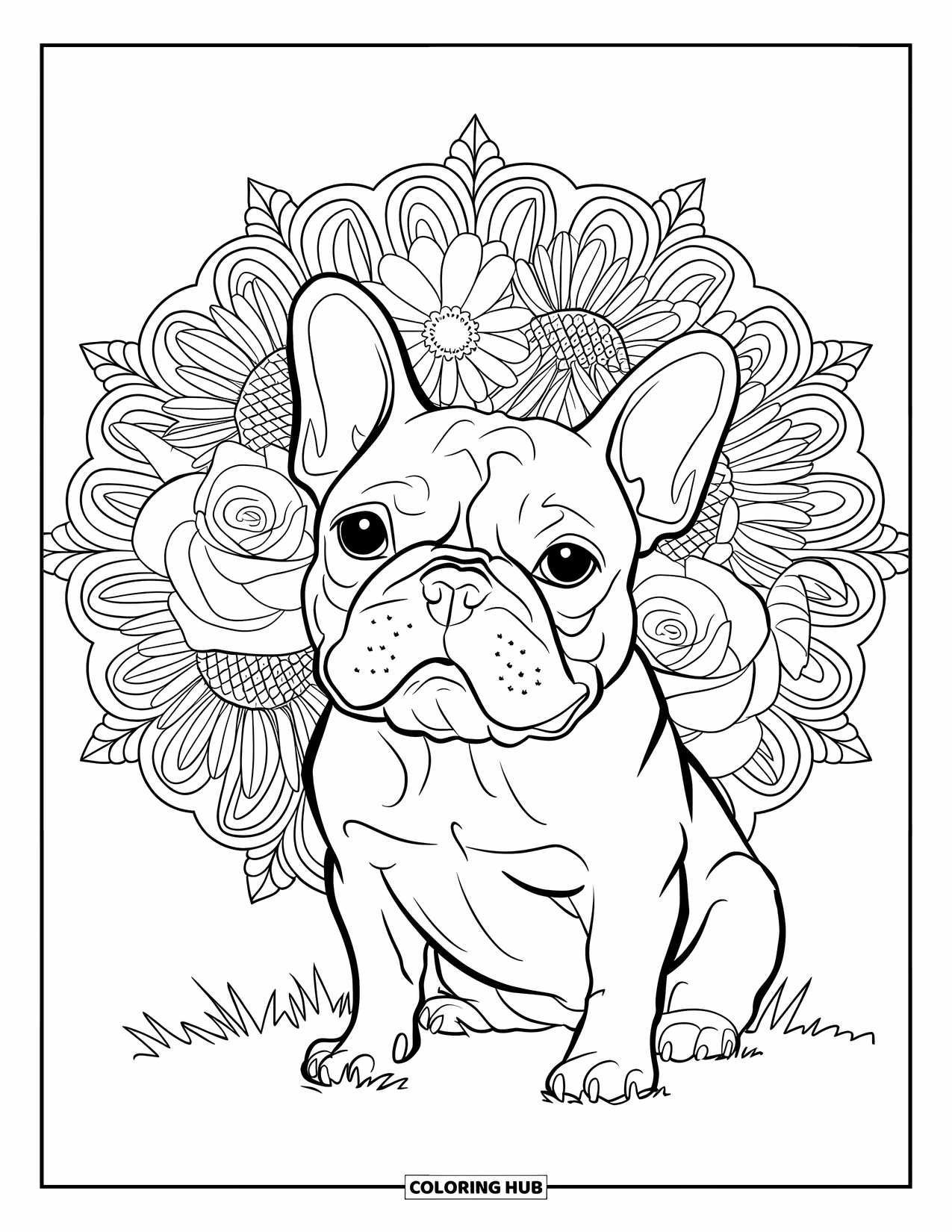 Dibujo de Bulldog Francés para adultos: Un Frenchie con una mirada juguetona se sienta frente a flores de mandala florecientes