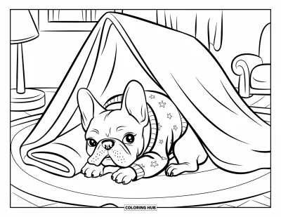 Coloriage de Bouledogue Français pour enfants : Un bouledogue français se blottit sous un fort de couverture chaude