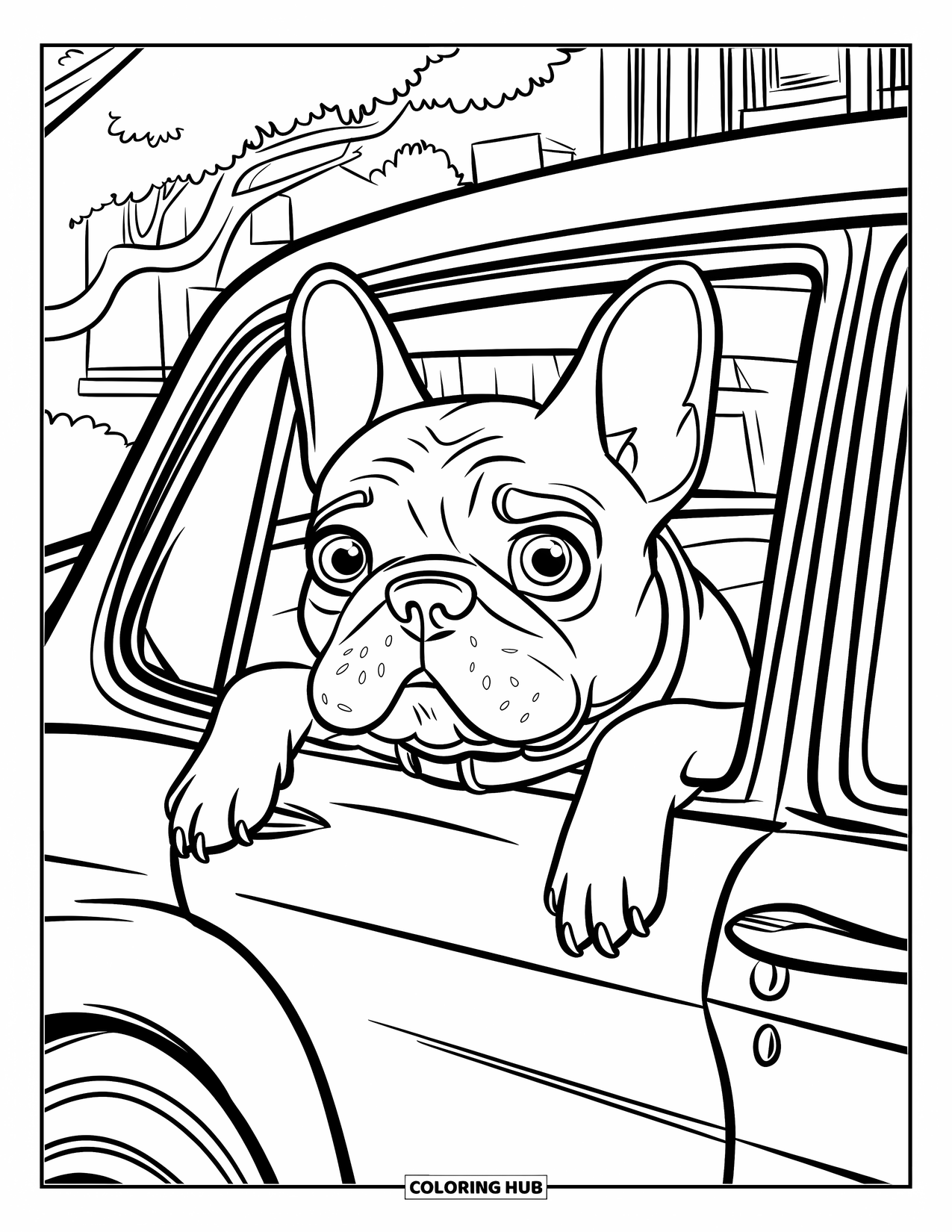 Dibujo de Bulldog Francés para niños: Bulldog Francés disfruta de un paseo en coche con la cabeza por la ventana