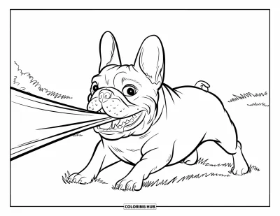 Coloriage de Bouledogue Français pour enfants : Un bouledogue français tire une couverture avec un sourire fier dans un champ ensoleillé
