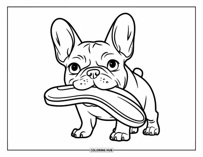Coloriage de Bouledogue Français pour enfants : Un bouledogue français sourit avec une pantoufle reposant près de sa patte