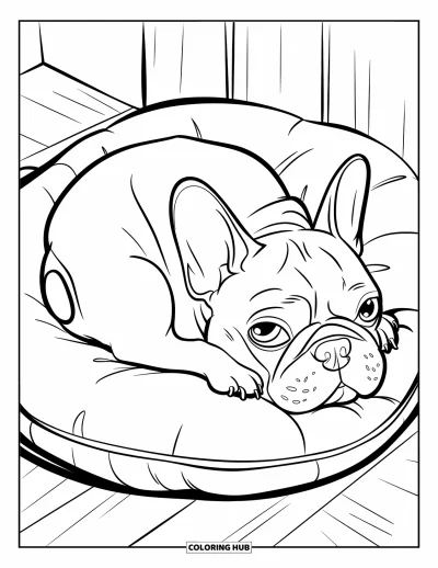 Coloriage de bouledogue français pour enfants : Un Frenchie lové sur un coussin moelleux en train de dormir