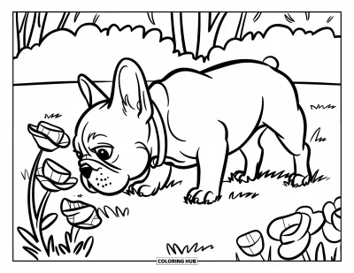 Coloriage de Bouledogue Français pour enfants : Un Frenchie apprécie le parfum des fleurs dans une cour ensoleillée