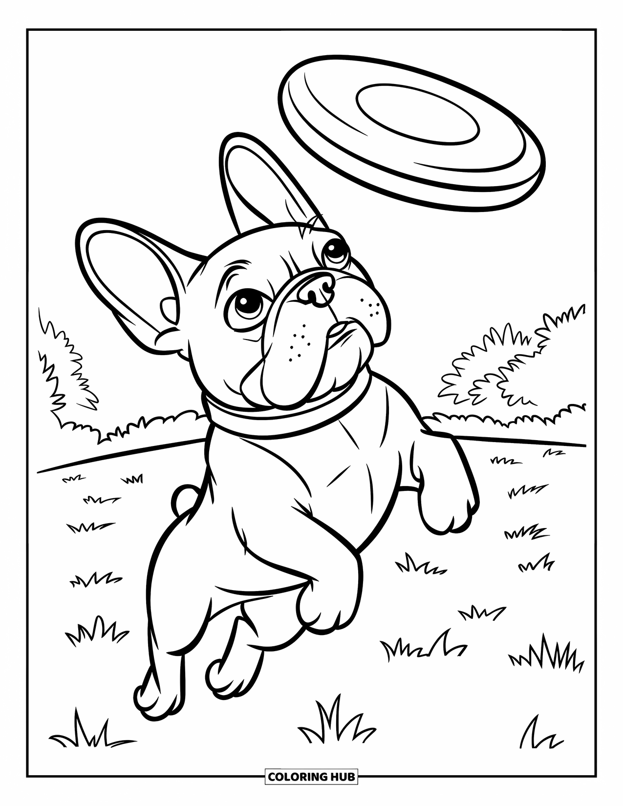 Dibujo de Bulldog Francés para niños: Un Frenchie salta alto para atrapar un frisbee en un campo de hierba