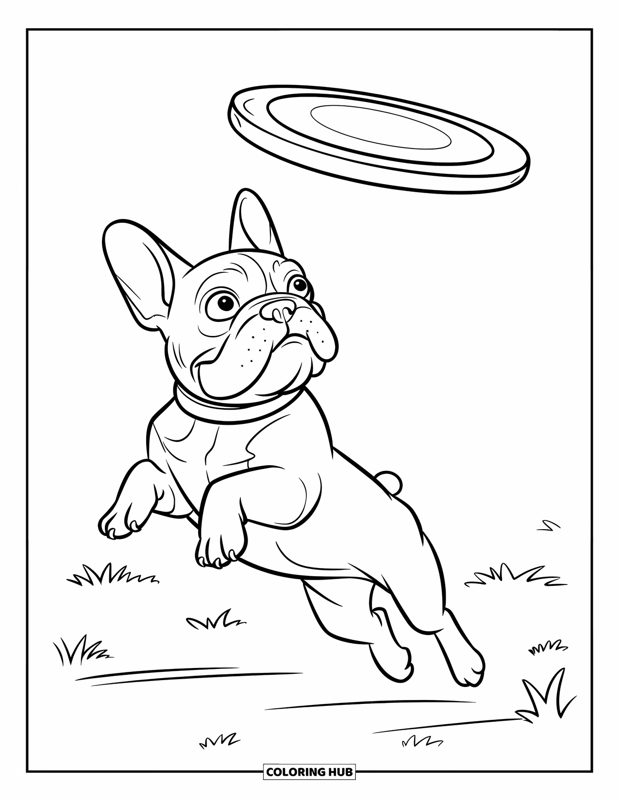 Dibujo de Bulldog Francés para niños: Un Frenchie salta tras un frisbee con las orejas caídas volando