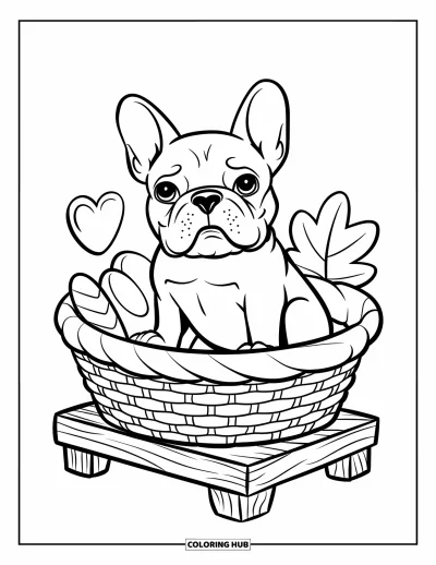 Coloriage de Bouledogue Français pour enfants : Un Frenchie se repose dans un panier avec des jouets sur une plateforme en bois