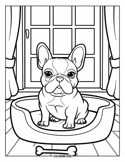 Coloriage de Bouledogue Français pour enfants : Un Frenchie est assis dans un panier pour chien avec un os à côté