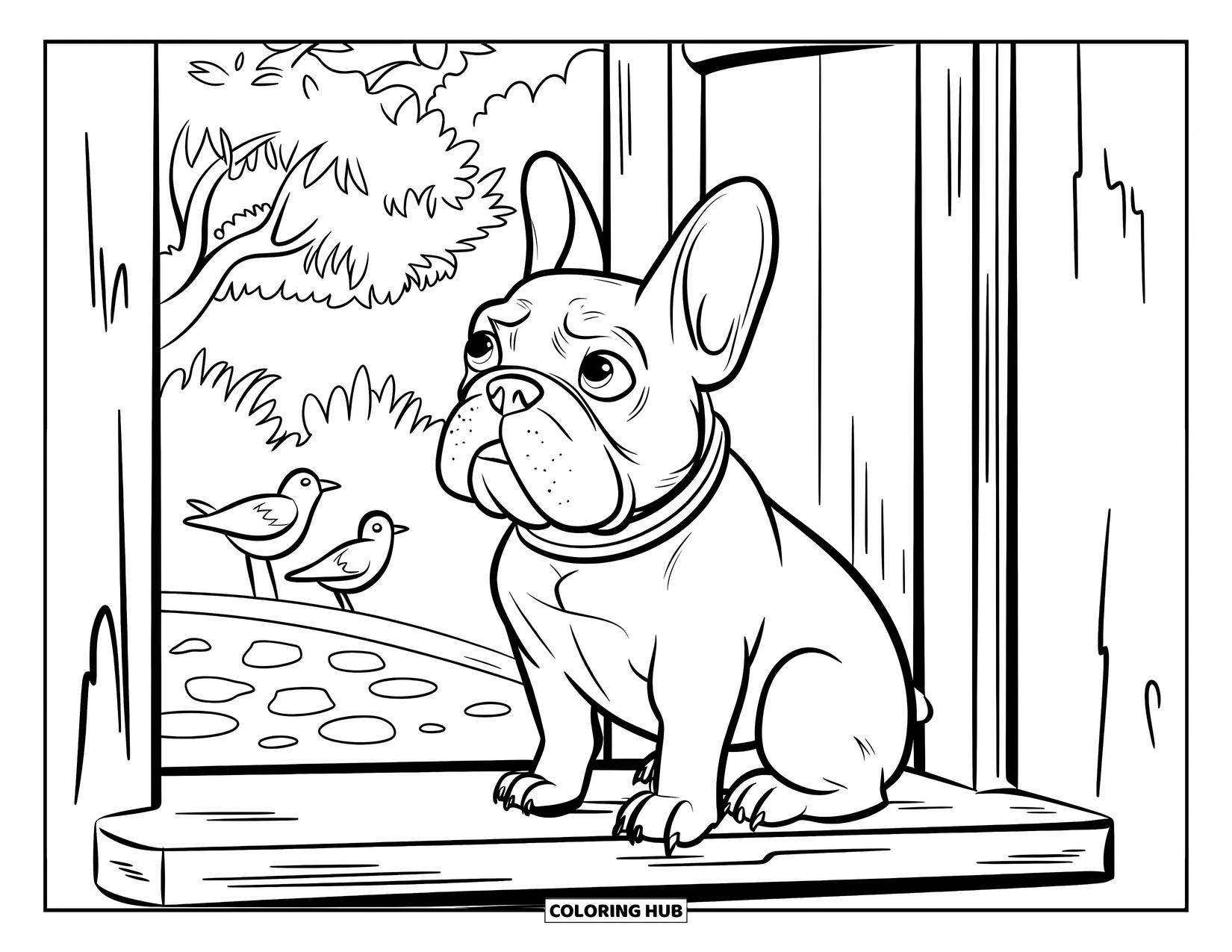 Dibujo de Bulldog Francés para niños: Un Frenchie con las orejas levantadas observa a los pájaros a través de una ventana de madera