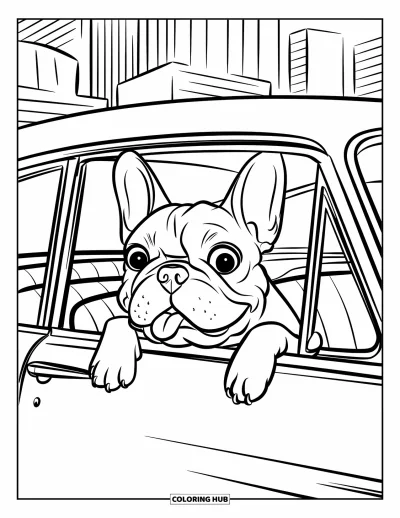 Coloriage de Bouledogue Français pour enfants : Un Frenchie avec la langue sortie se promène dans une voiture ancienne à travers la ville