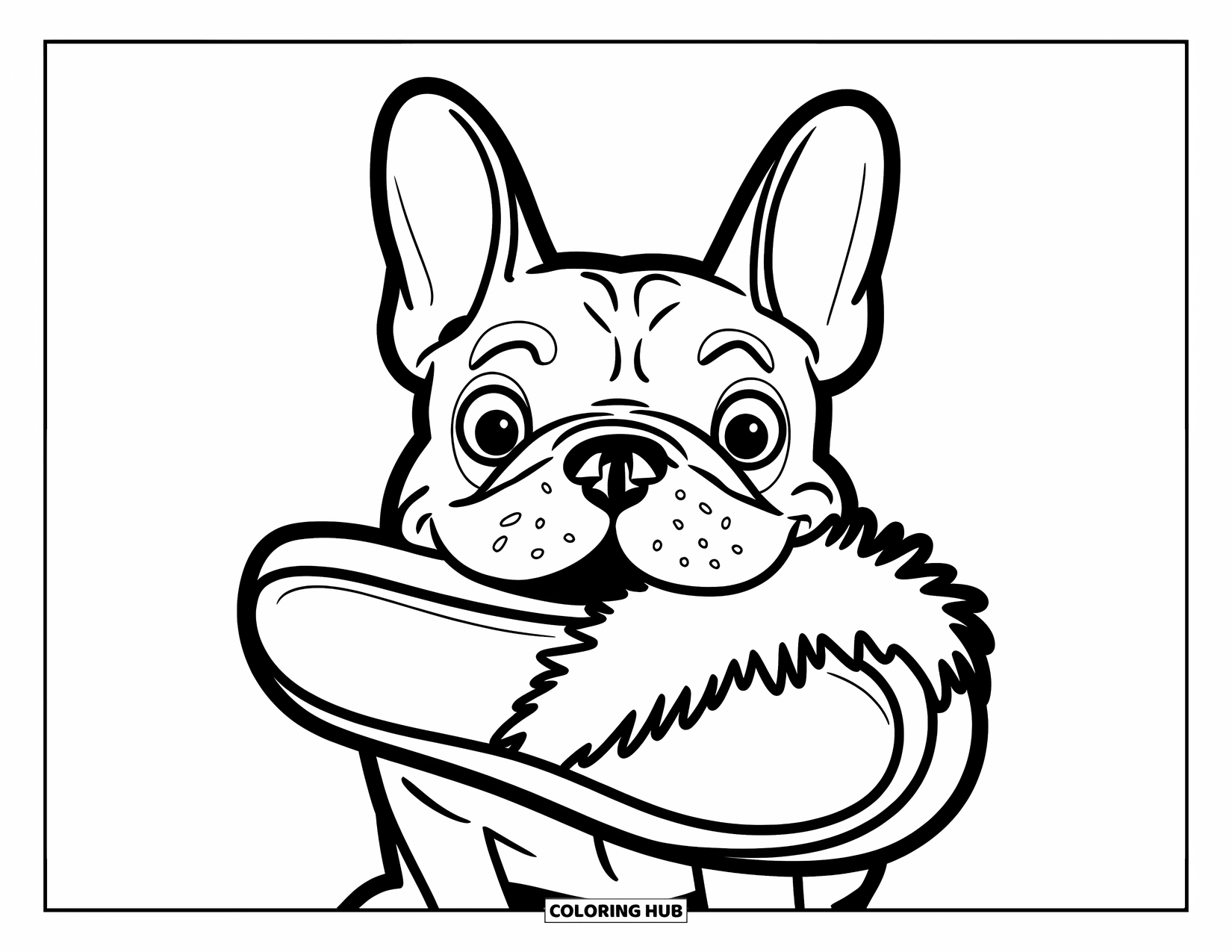 Dibujo de Bulldog Francés para niños: Un Frenchie con ojos grandes sostiene felizmente una zapatilla esponjosa