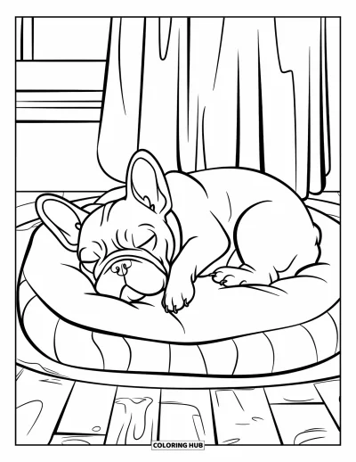 Coloriage de Bouledogue Français pour enfants : Un bouledogue français endormi se repose sur un coussin près d’une fenêtre ensoleillée
