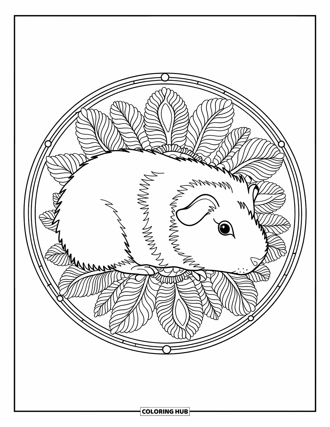 Meerschweinchen Ausmalbild für Erwachsene: Meerschweinchen rollt sich in einem floralen Mandala mit einem friedlichen kreisförmigen Rand zusammen