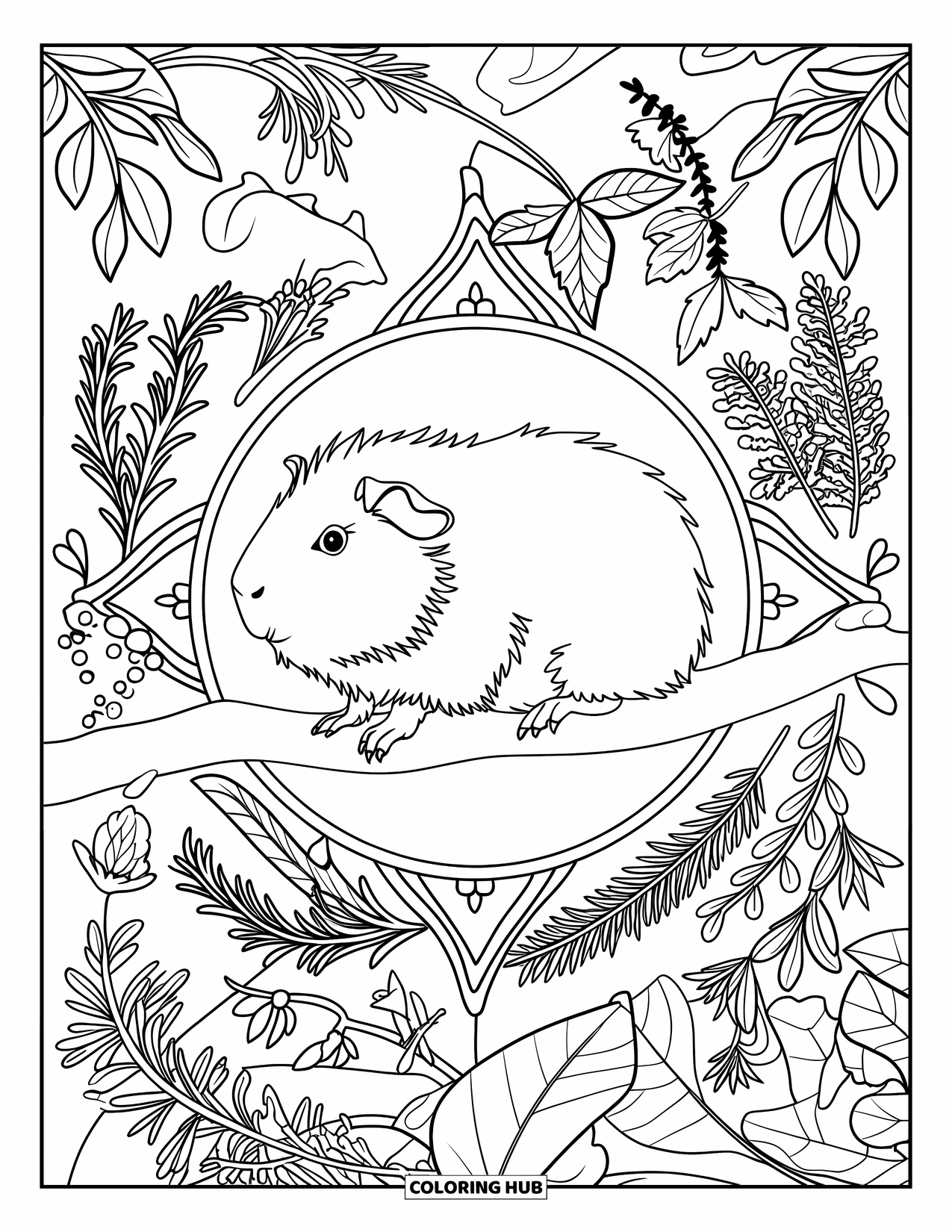 Meerschweinchen Ausmalbild für Erwachsene: Meerschweinchen ruht auf einem Ast, umgeben von Basilikum, Thymian und floralen Designs