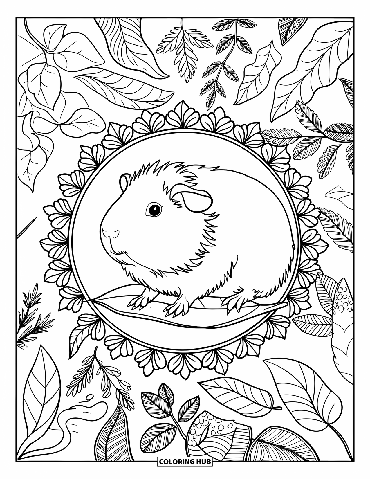 Meerschweinchen Ausmalbild für Erwachsene: Meerschweinchen sitzt auf einem Blatt, umgeben von gemusterten Kräutern und floralen Formen