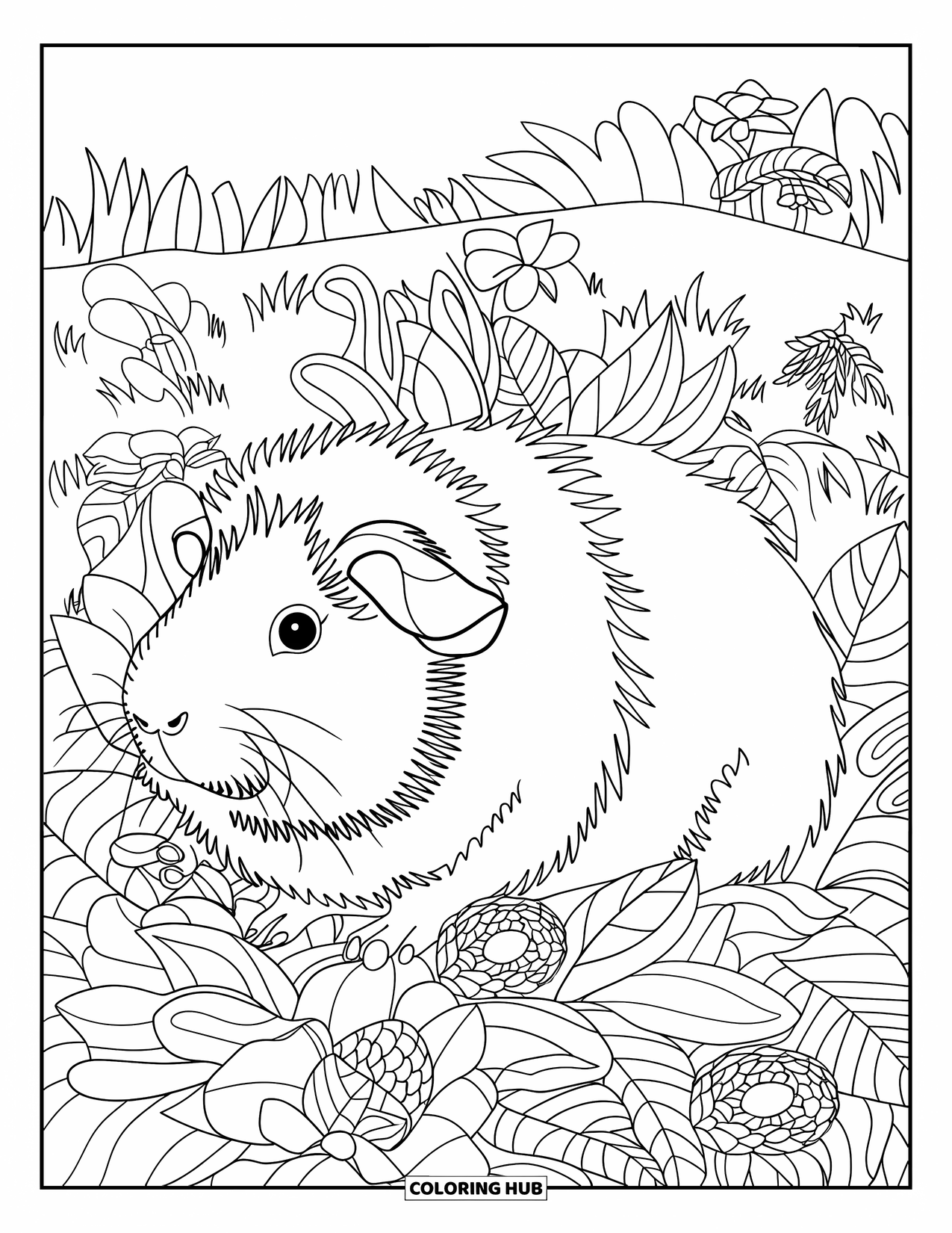 Meerschweinchen Ausmalbild für Erwachsene: Meerschweinchen mit geschichtetem Fell liegt in einem blättrigen Feld voller blühender Blumen