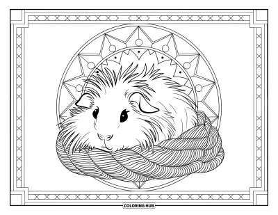 Desenho de Porquinho-da-Índia para Adultos: Porquinho-da-índia de pelo comprido se enrola em lã cercado por padrões geométricos