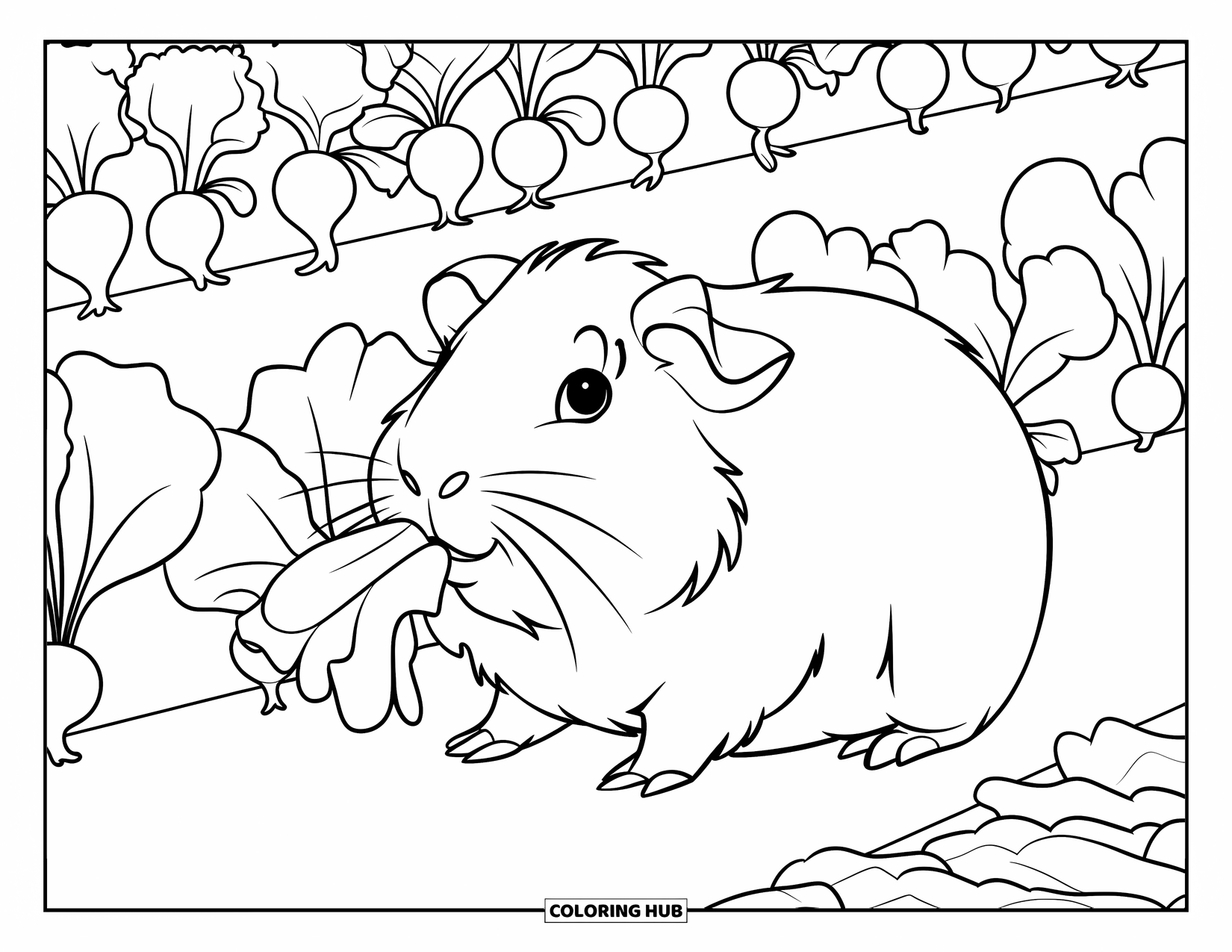 Meerschweinchen Ausmalbild für Kinder: Meerschweinchen hält ein Salatblatt in einem hellen Garten voller Radieschen
