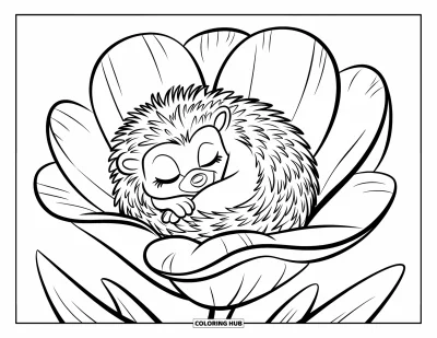 Coloriage de hérisson pour enfants : Un hérisson endormi se blottit à l'intérieur d'une grande fleur épanouie