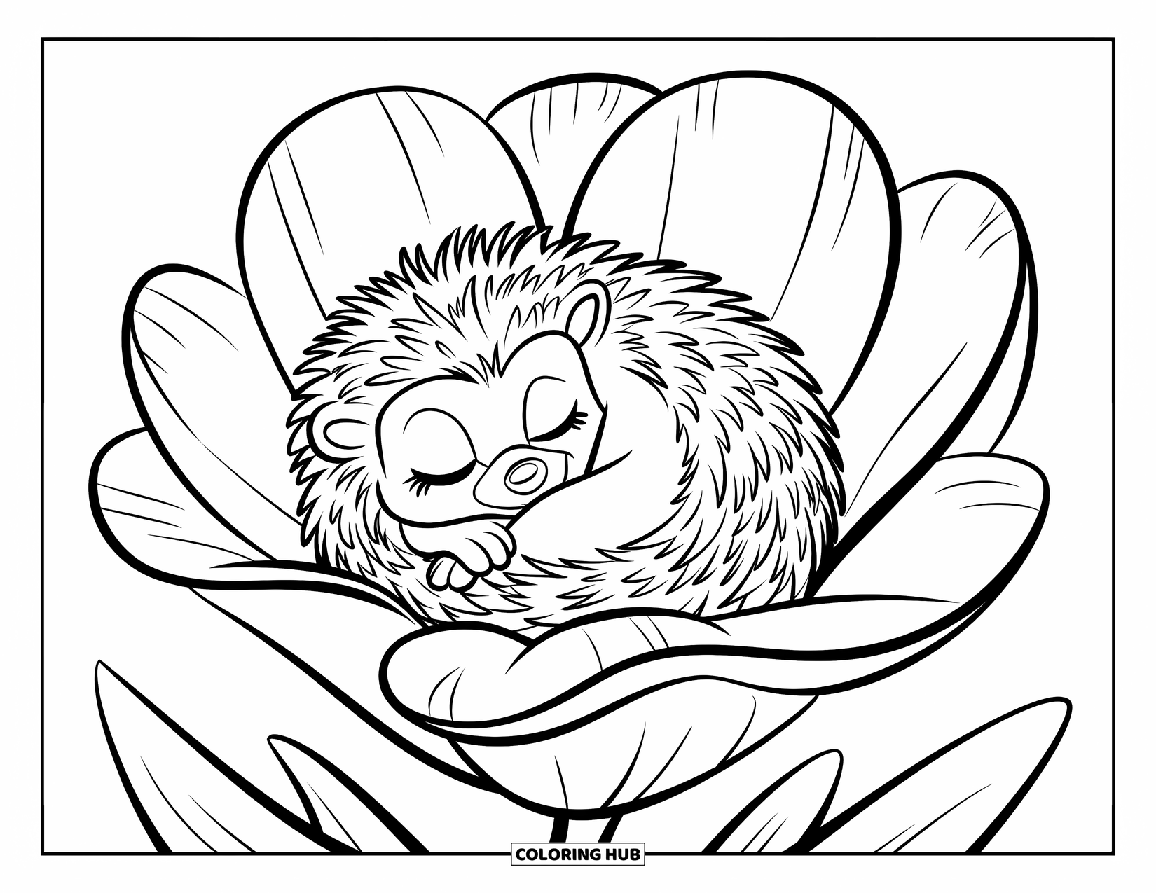 Hedgehog Coloring Page for Kids: A sleepy hedgehog curls up inside a big open flower
