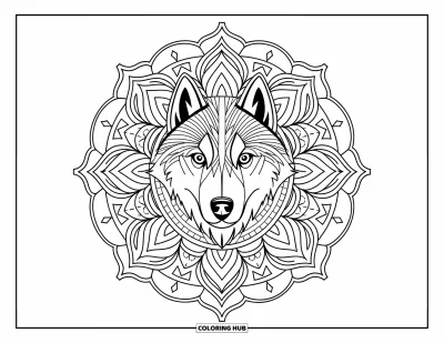 Coloriage de husky pour adultes : Un husky concentré aux yeux perçants est assis au centre d'un mandala aux motifs tribaux