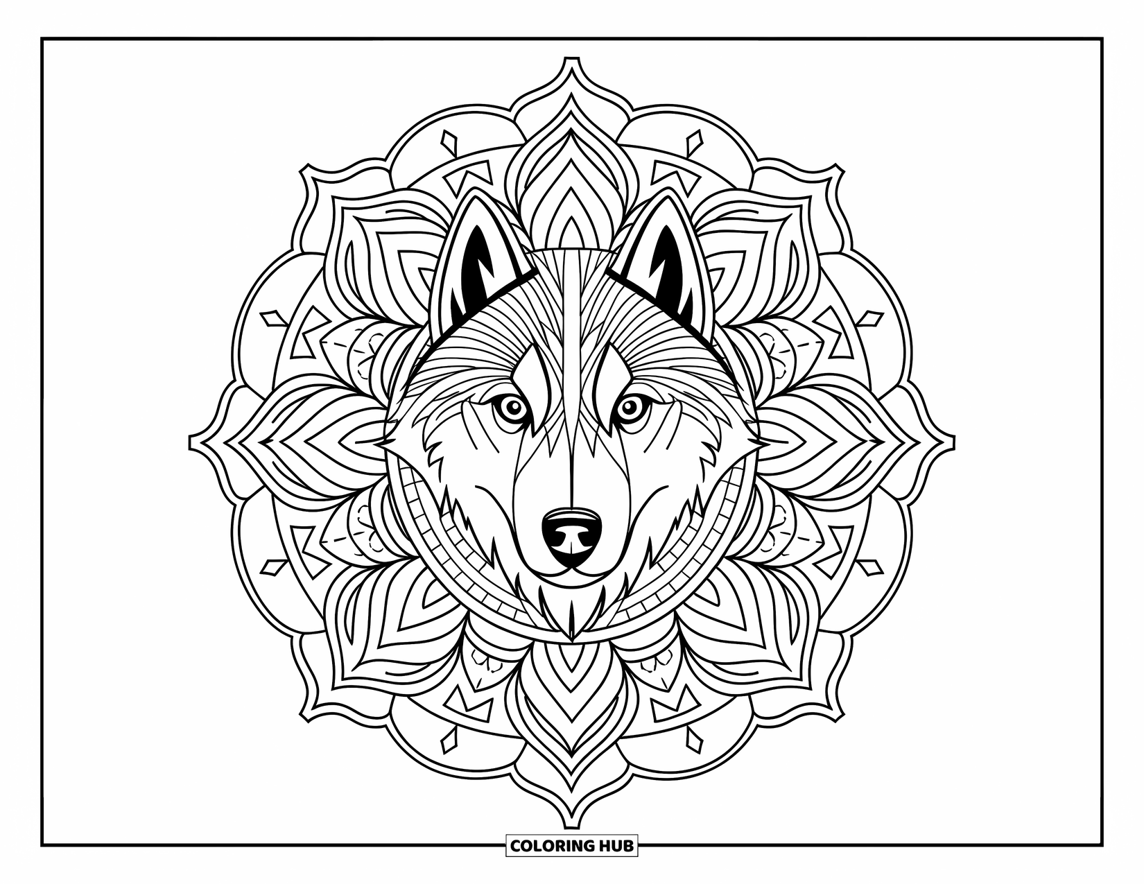 Husky Coloring Page for Adults: A focused husky with piercing eyes sits at the center of a tribal mandala pattern