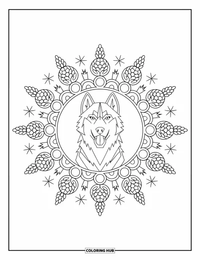 Coloriage de husky pour adultes : Un husky hurlant de face est entouré d'étoiles, de pommes de pin et de motifs tourbillonnants