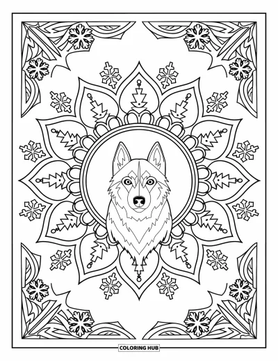 Coloriage de husky pour adultes : Un husky assis dans un mandala rempli d'aurores boréales et de motifs en forme de flocons